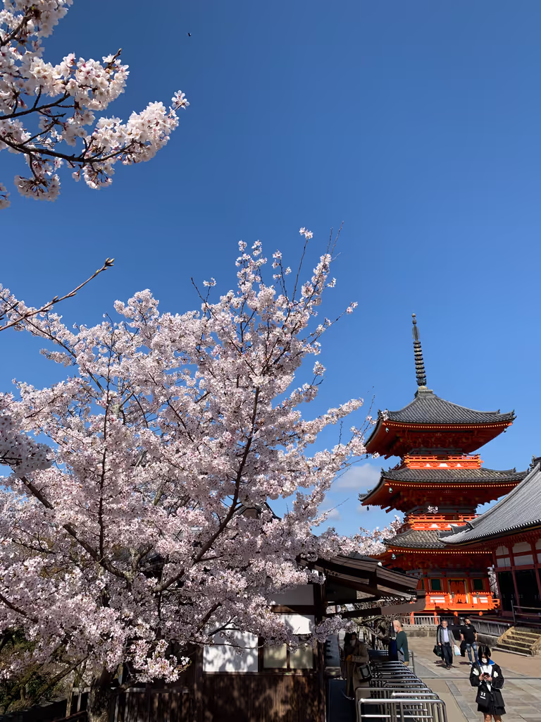 Kyoto Private Tour - 