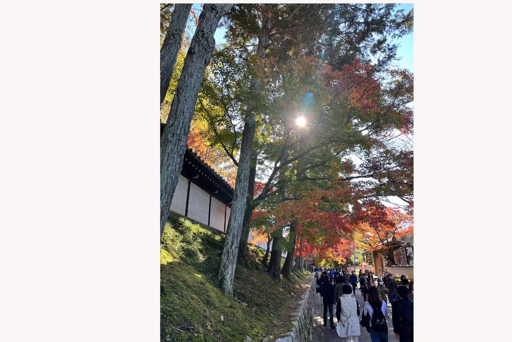 Kyoto Private Tour - 