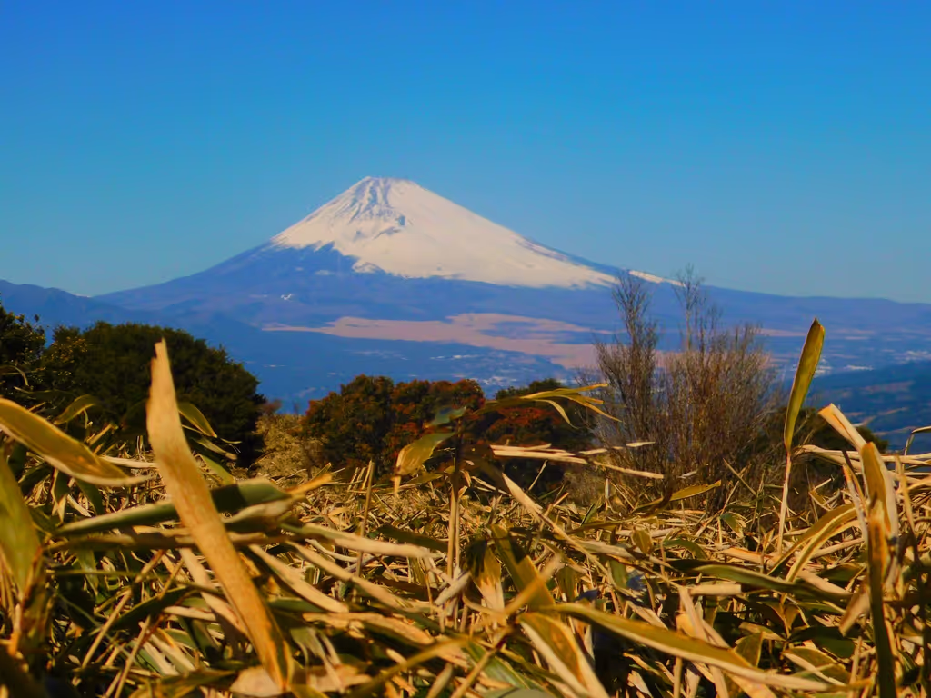 Tokyo Private Tour - 