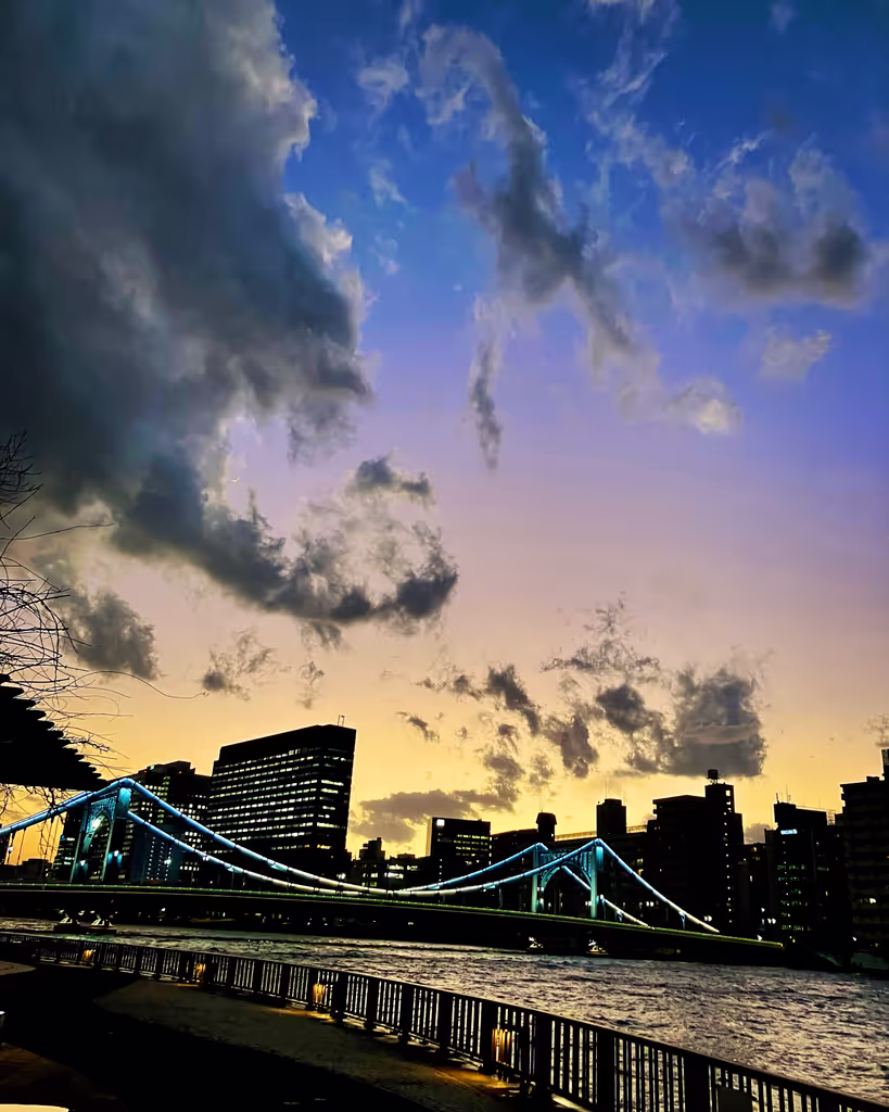Tokyo Private Tour - 
