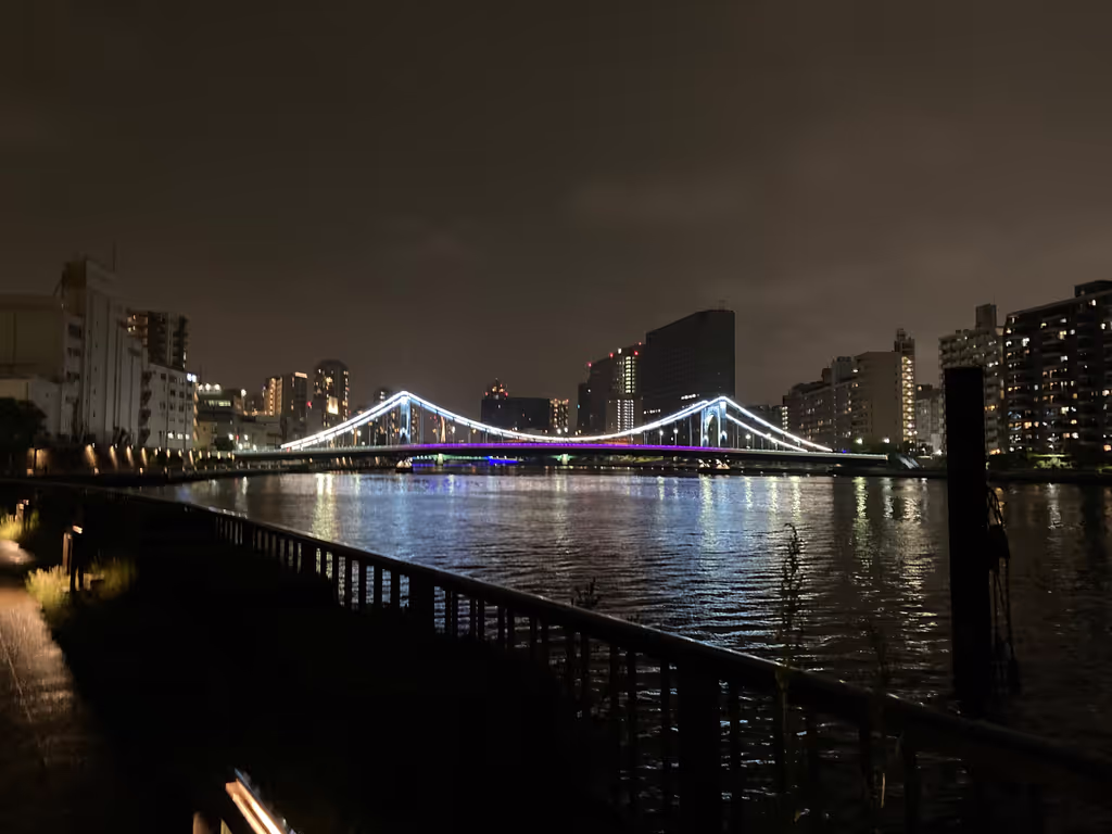 Tokyo Private Tour - 