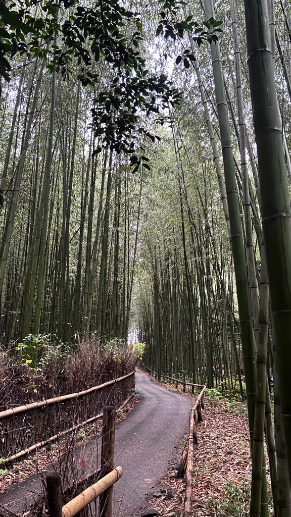 Hyogo Private Tour - 