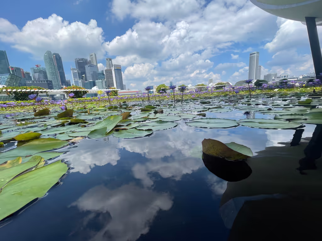 Singapore Private Tour - Discover our Museums