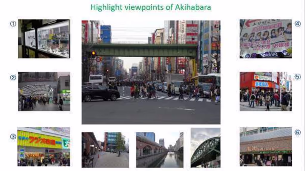 Kanagawa Private Tour - Highlight spots of Akihabara area
