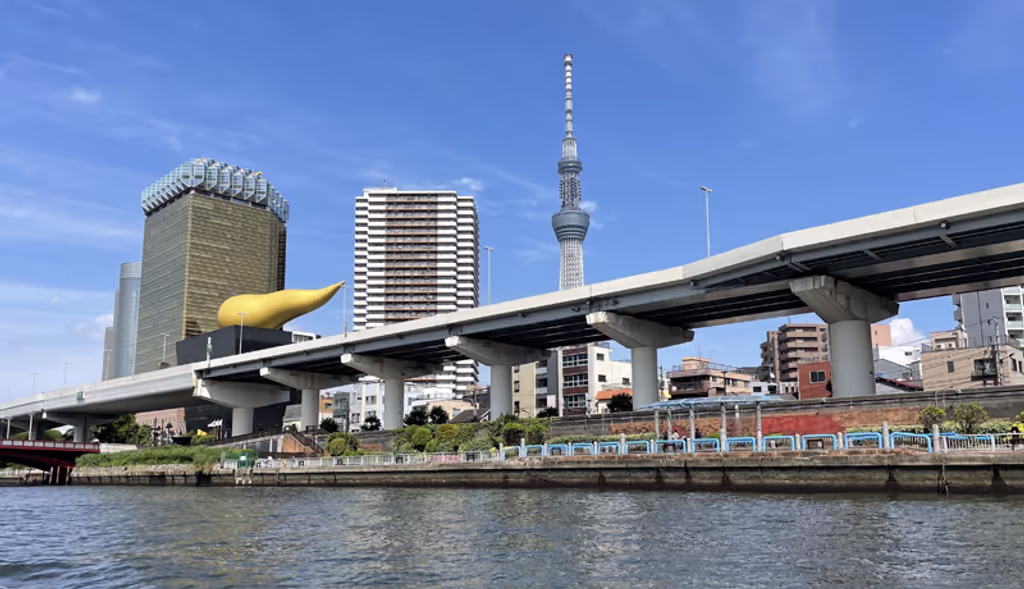Chiba Private Tour - A short cruise from Ryogoku to Asakusa. 
