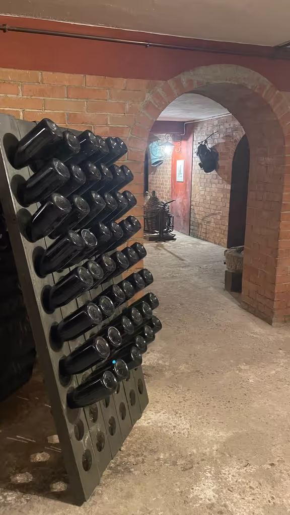 Piemonte Private Tour - wine cellars