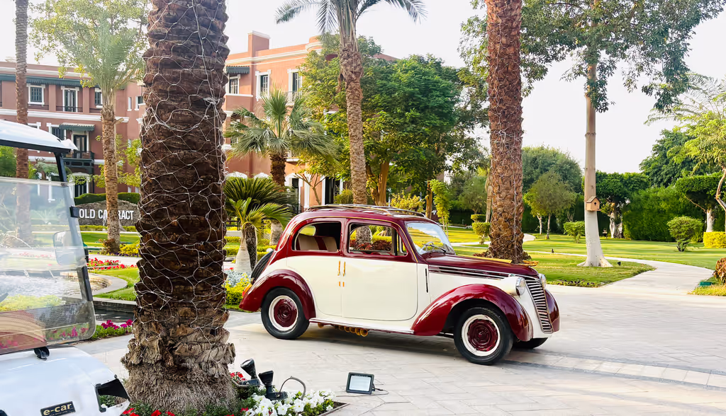 Luxor Private Tour - Sofitel Old Cataract 