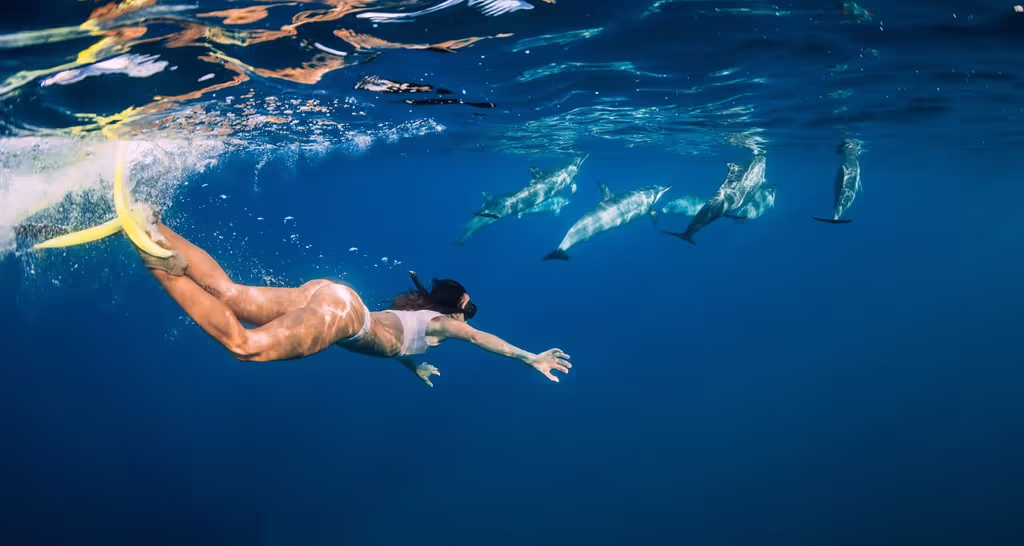 Azores Private Tour - Swimming with friends 