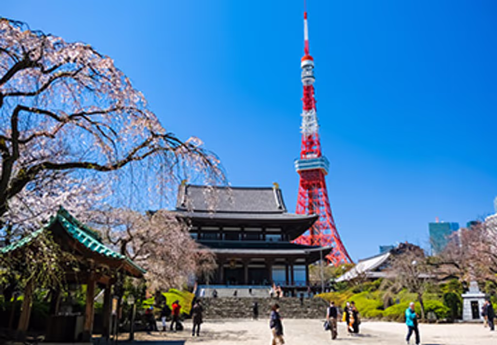 Tokyo Private Tour - 