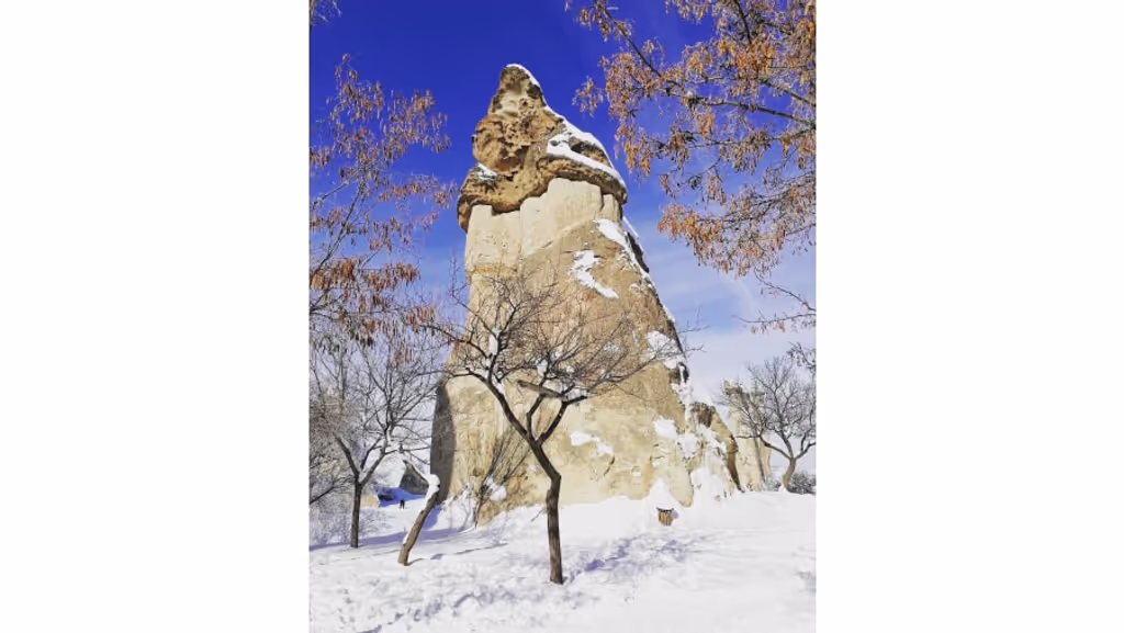 Cappadocia Private Tour - Pasabag