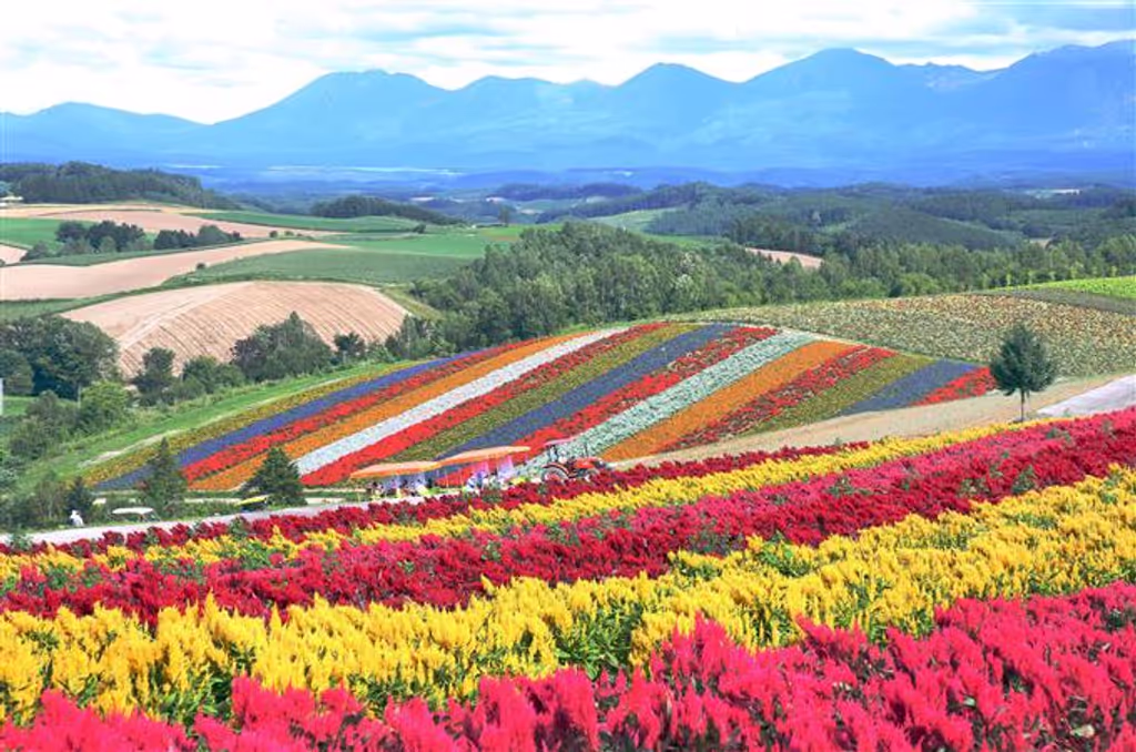 Hokkaido Private Tour - 