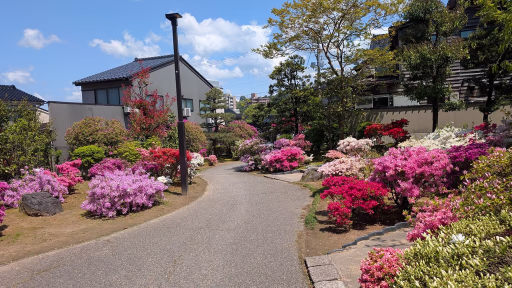 Ishikawa Private Tour - Azelea Garden