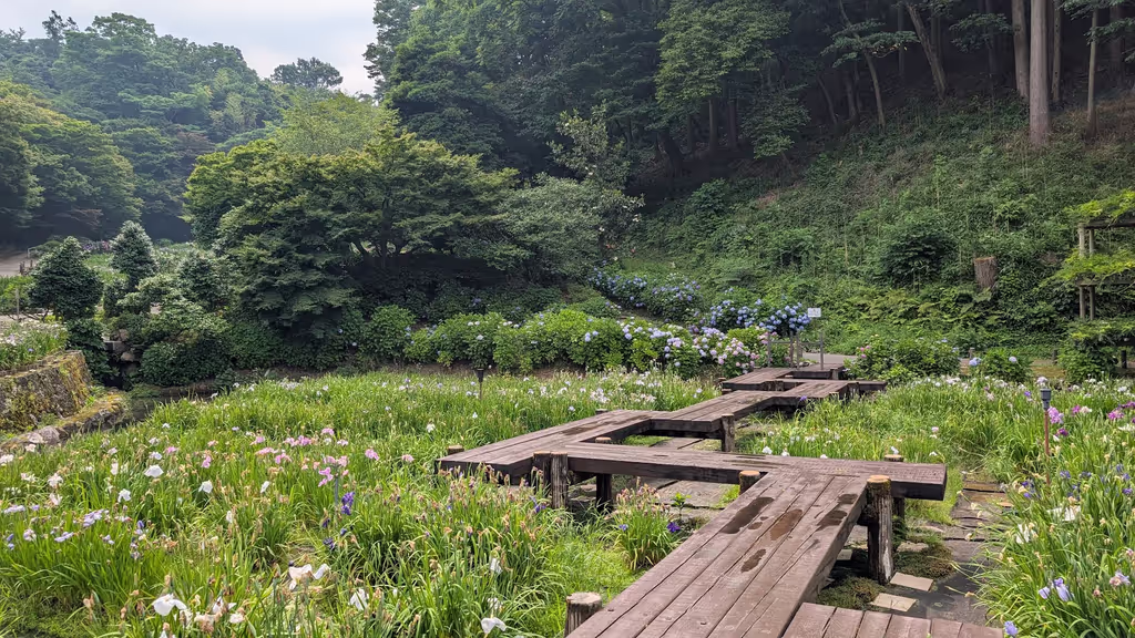 Ishikawa Private Tour - Iris Garden