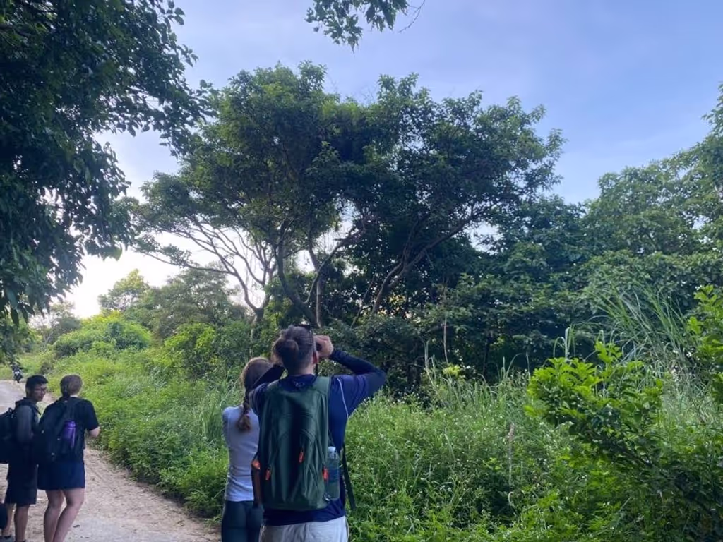 Da Nang Private Tour - Walking and Seeking for endangered langurs