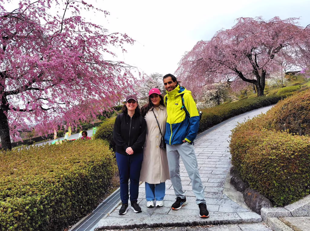Shizuoka Private Tour - Cherry blossom viewing tour