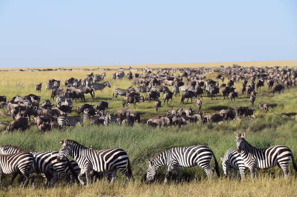Arusha Private Tour - Tanzania safaris