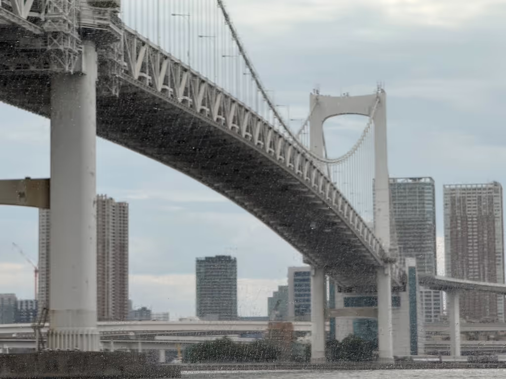 Tokyo Private Tour - Rainbow Bridge in Tokyo