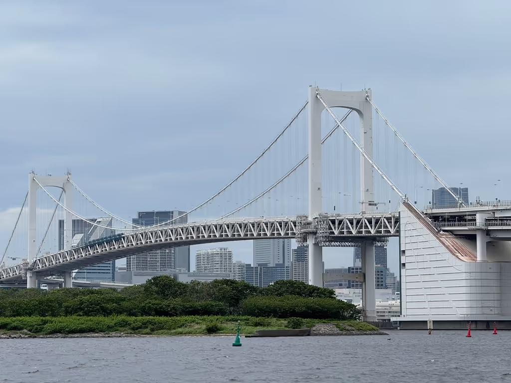 Tokyo Private Tour - Rainbow Bridge in Tokyo Bay