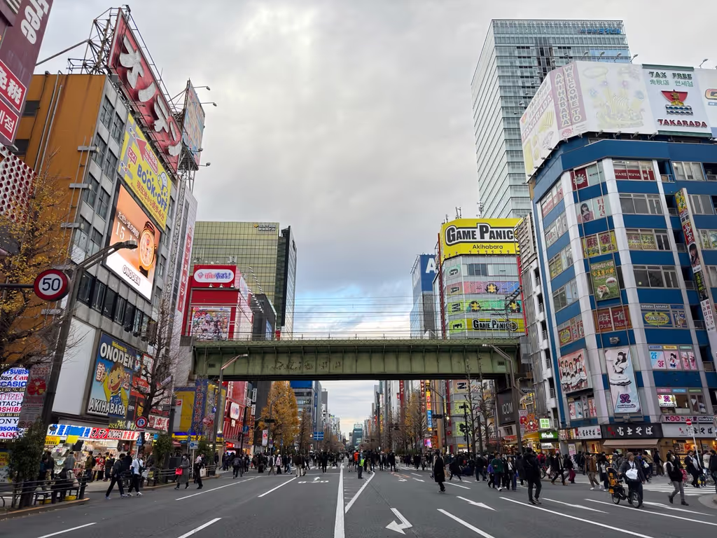 Tokyo Private Tour - Main avenue in Akihabara during the pedestrian Sunday