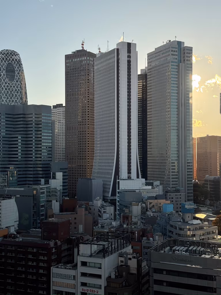 Tokyo Private Tour - Skyscrapers of Shinjuku