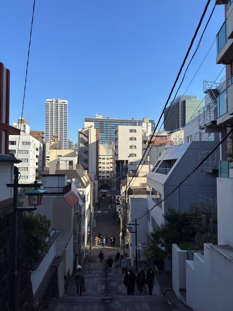 Tokyo Private Tour - View of the Akihabara back streets