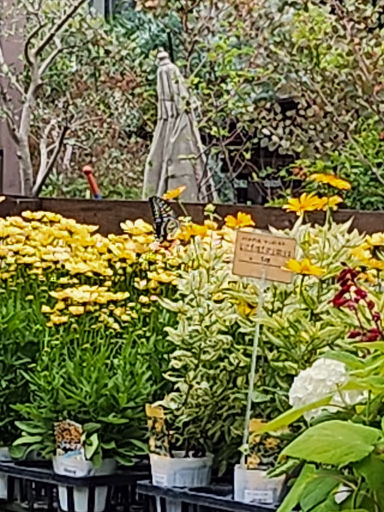 Osaka Private Tour - 