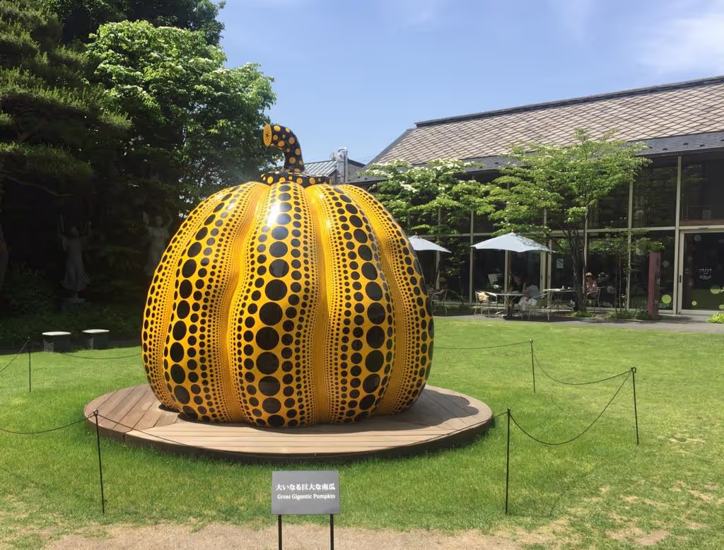 Osaka Private Tour - 