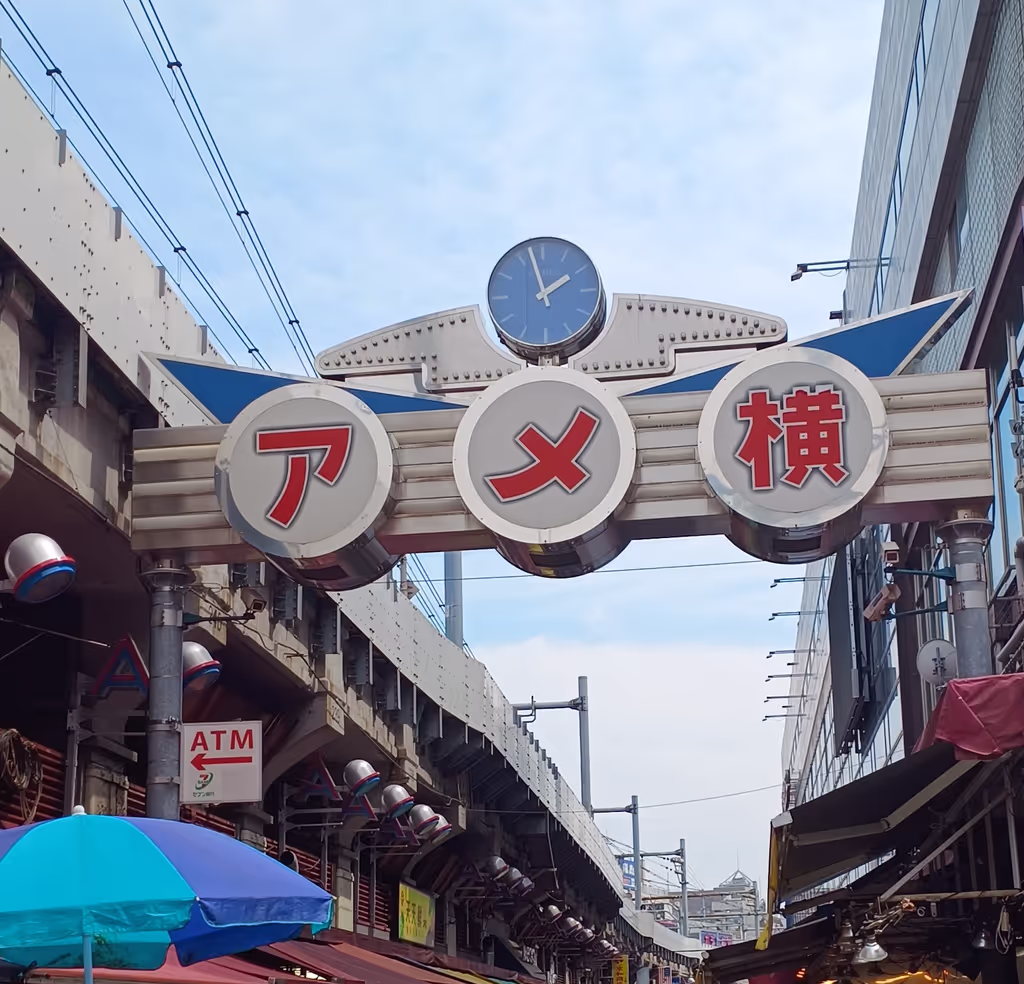 Chiba Private Tour - Ameyoko town in Ueno