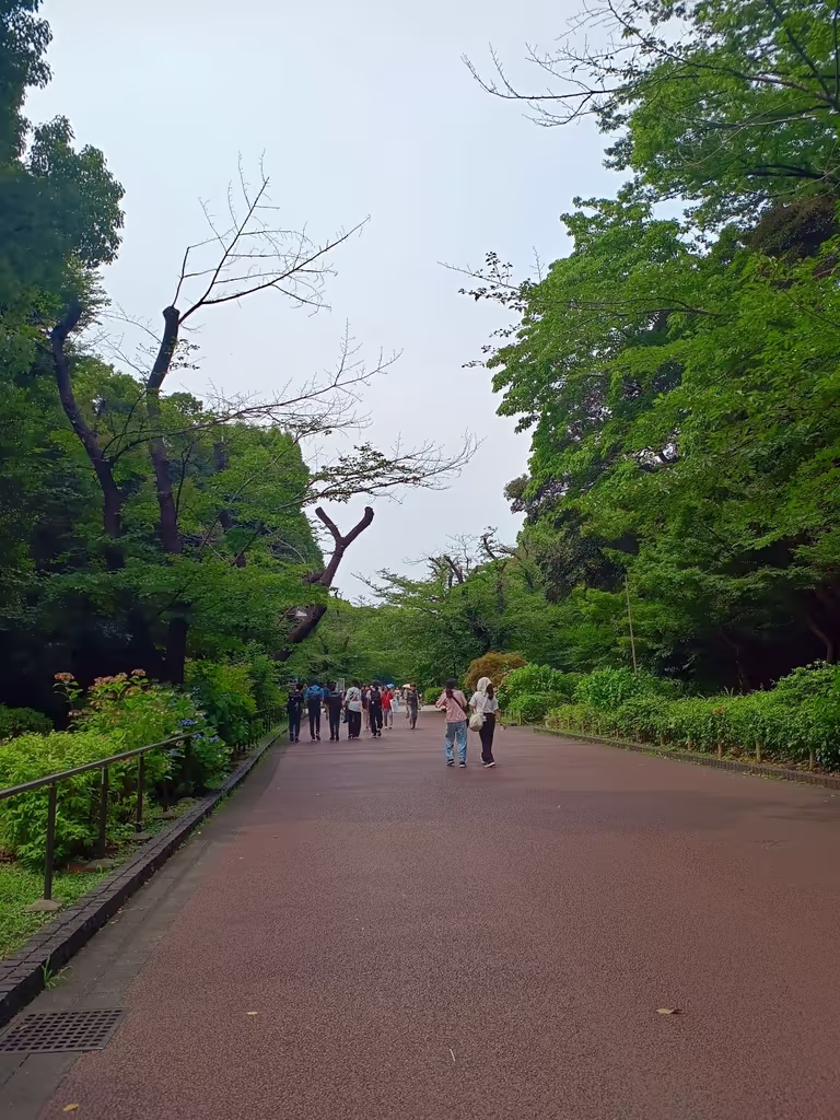 Chiba Private Tour - Ueno Park