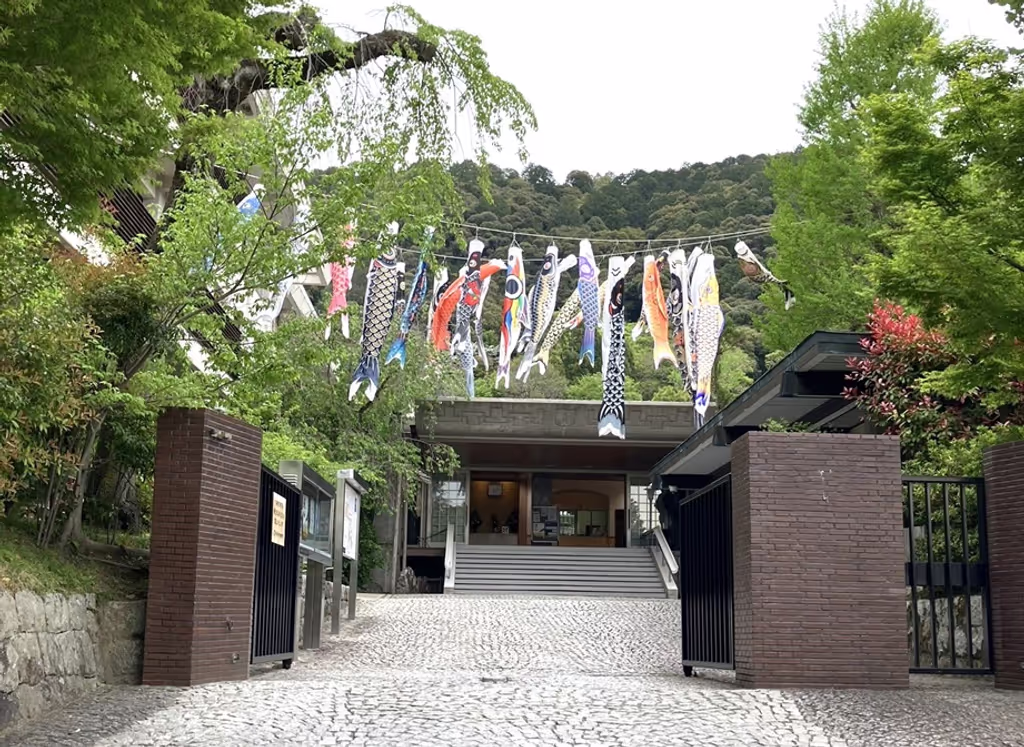 Osaka Private Tour - Carp Streamer