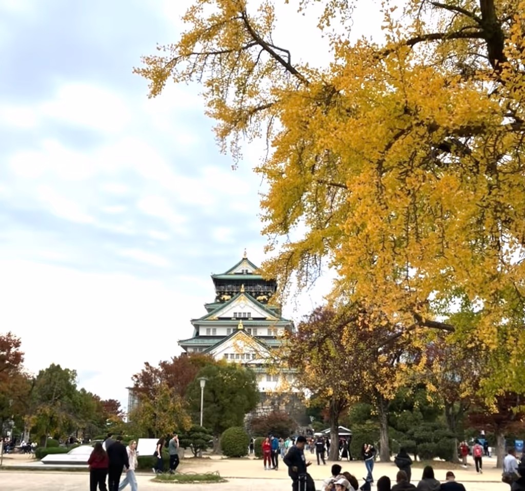Osaka Private Tour - Autumn in Osaka Castle Park