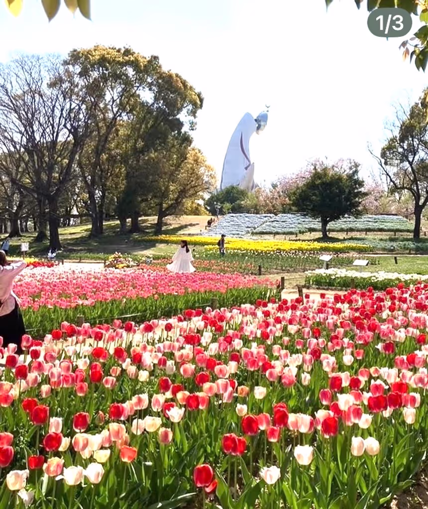 Osaka Private Tour - EXPO'1970 Park in Osaka