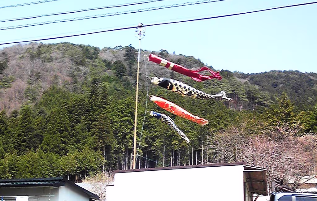 Osaka Private Tour - Carp Streamer