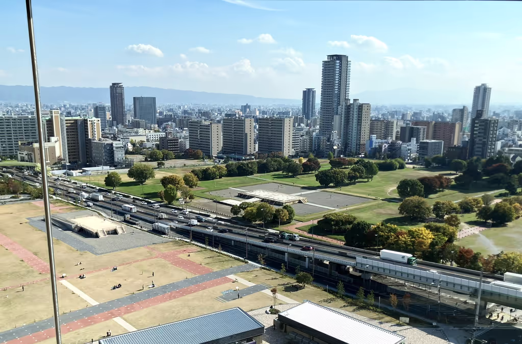 Osaka Private Tour - Ruins of Naniwa Palace