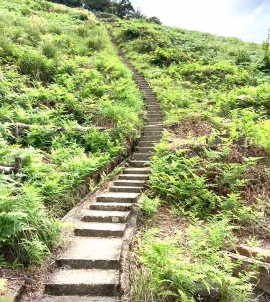 Osaka Private Tour - Mt. Daimonji