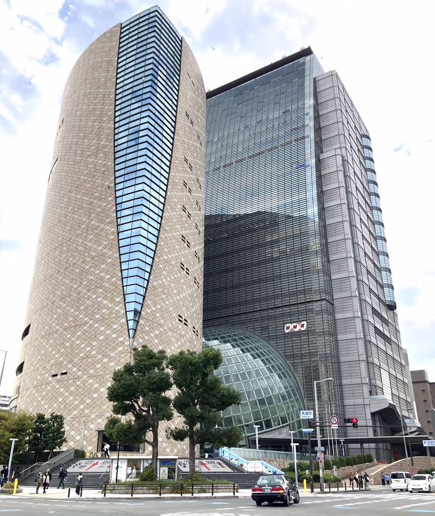 Osaka Private Tour - Osaka Museum of History