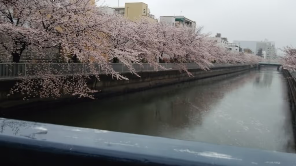 Tokyo Private Tour - 