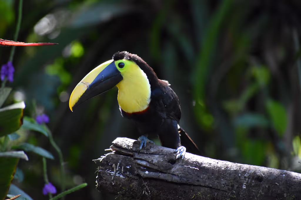 Quito Private Tour - 
