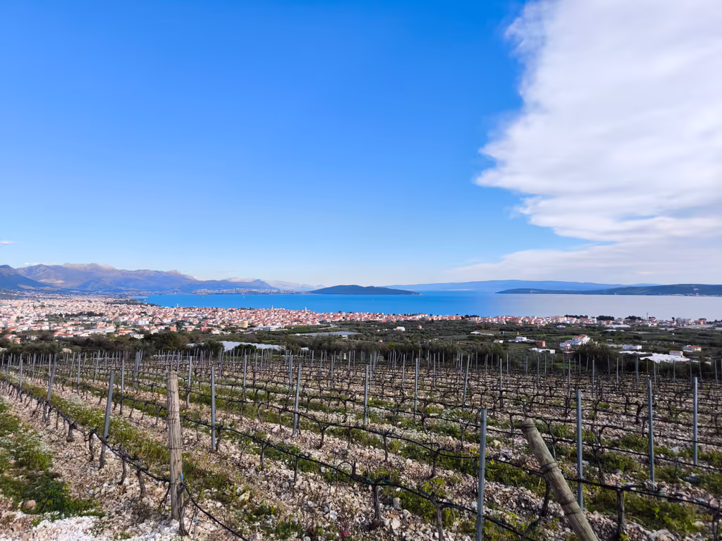 Split-Dalmatia County Private Tour - 