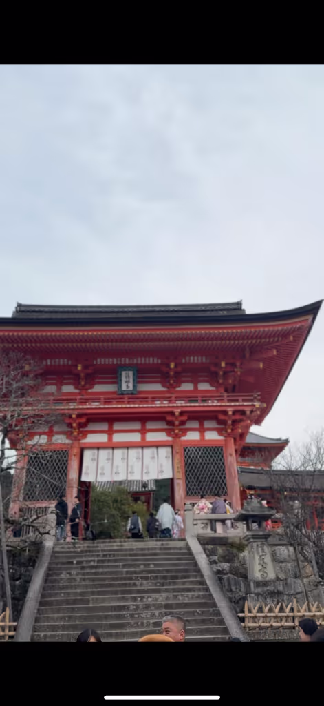 Tokyo Private Tour - Kiyomizu temple