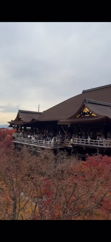 Tokyo Private Tour - Kiyomizu Temple