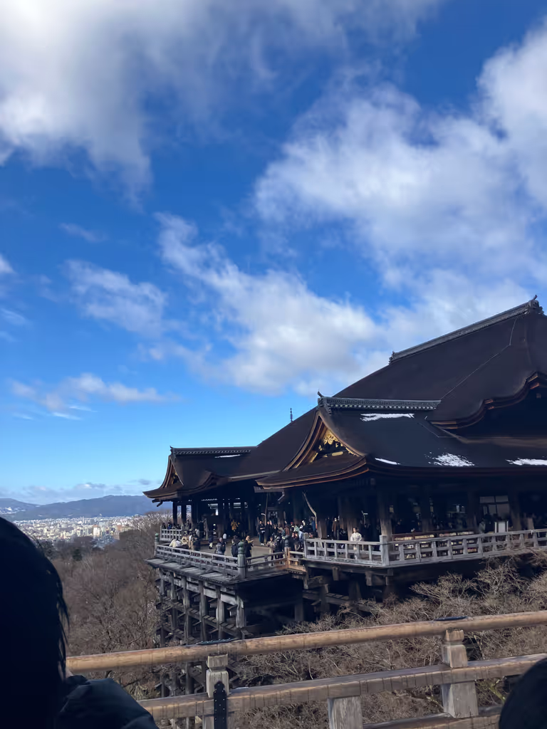 Nagoya Private Tour - 
