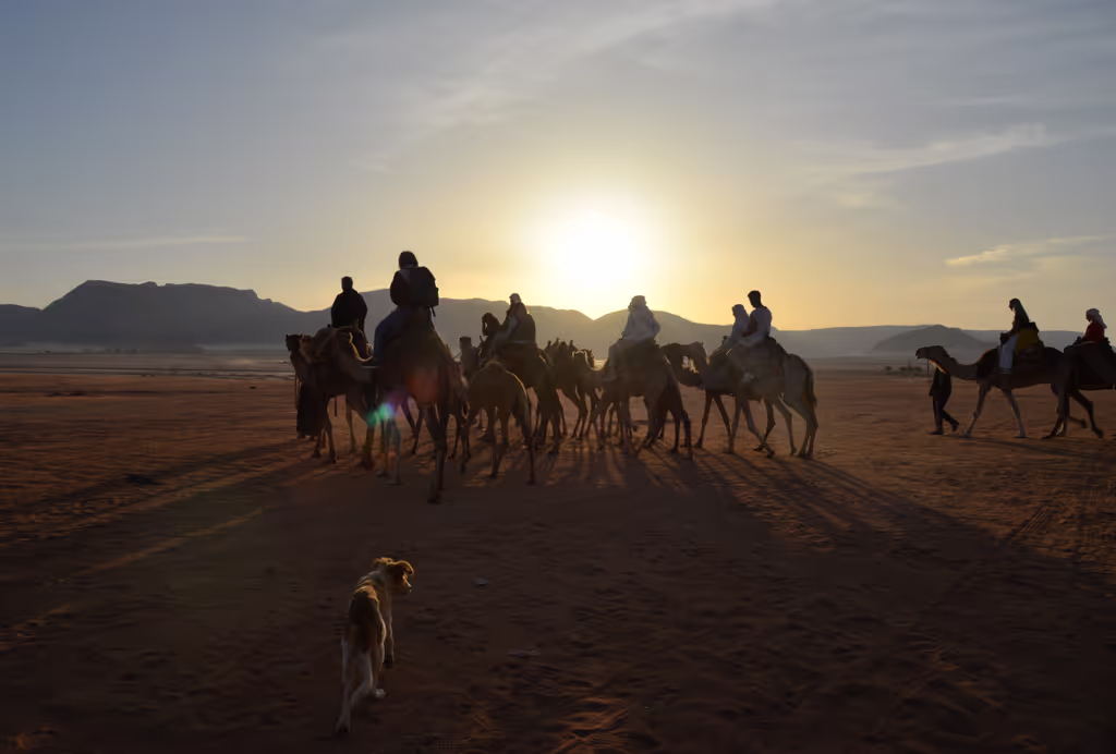 Amman Private Tour - Wadi Rum