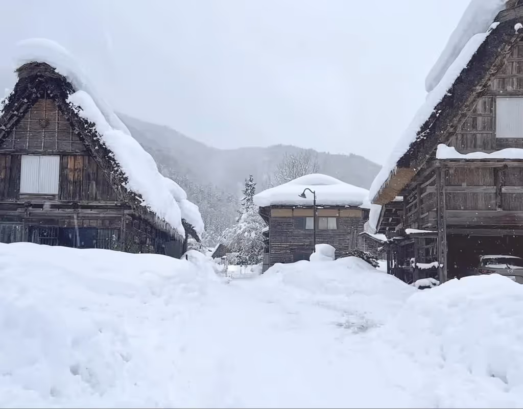 Nara Private Tour - Historic Villages of Shrakawa-Go and Gokayama, Gifu