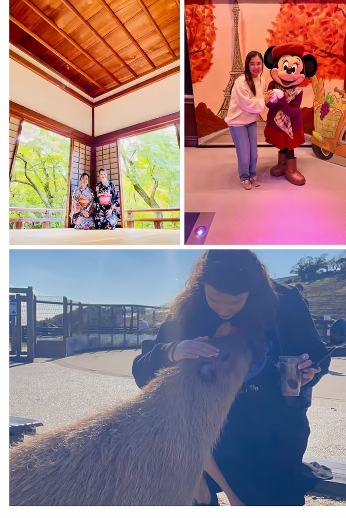 Chiba Private Tour - Disneyland and Chiba