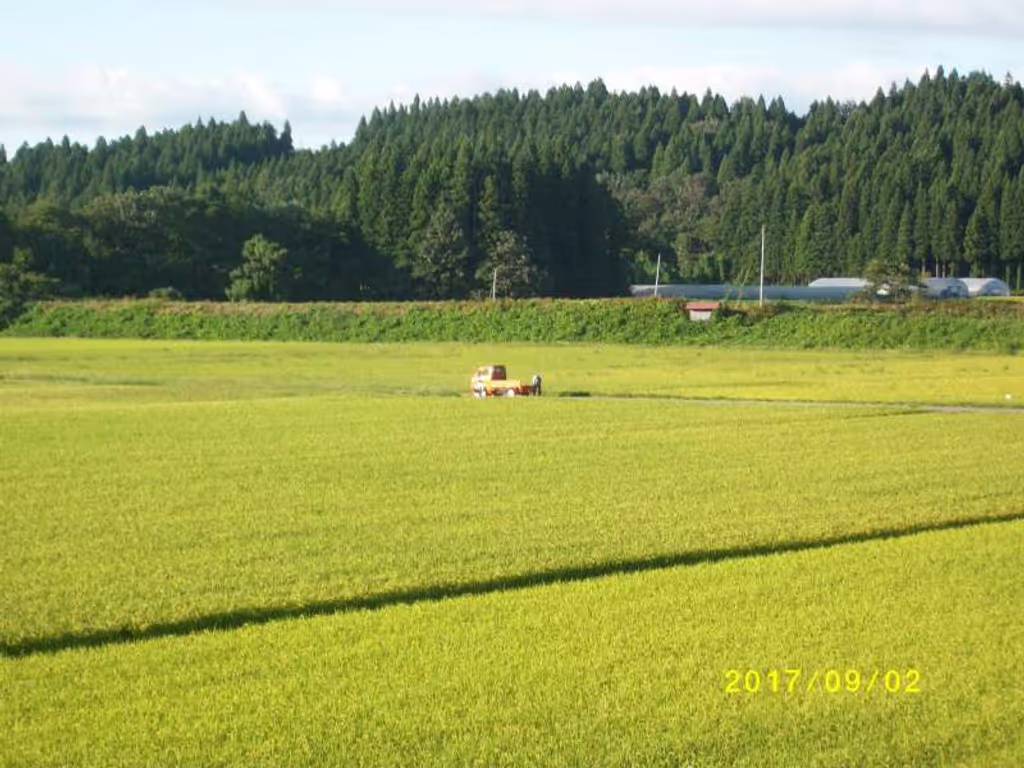 Yamagata Private Tour - Paddy Field