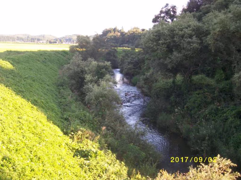 Yamagata Private Tour - The Nitta River