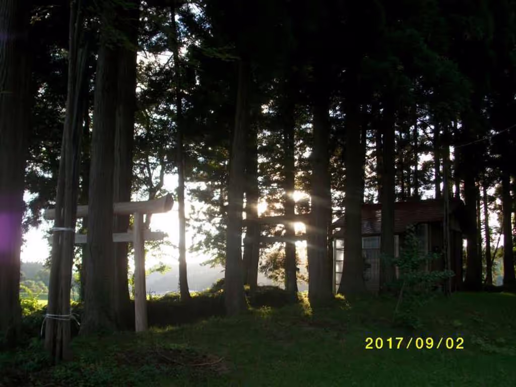 Yamagata Private Tour - Sedar Forest