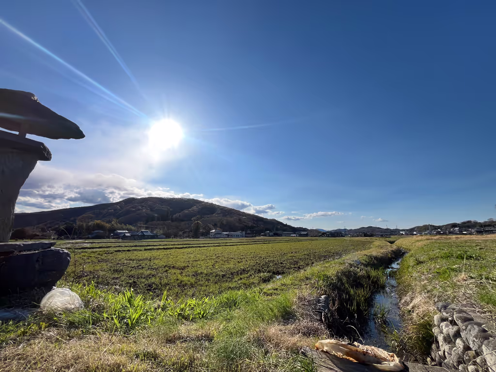 Saitama Private Tour - early spring