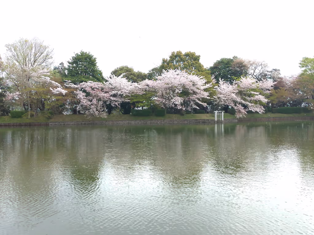 Osaka Private Tour - 